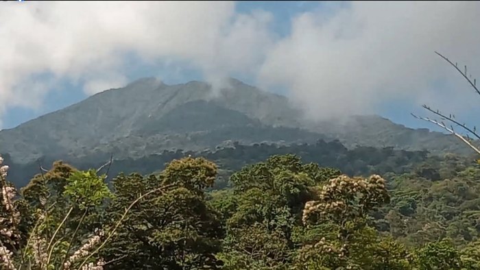 Mountain and clouds over a green forest.